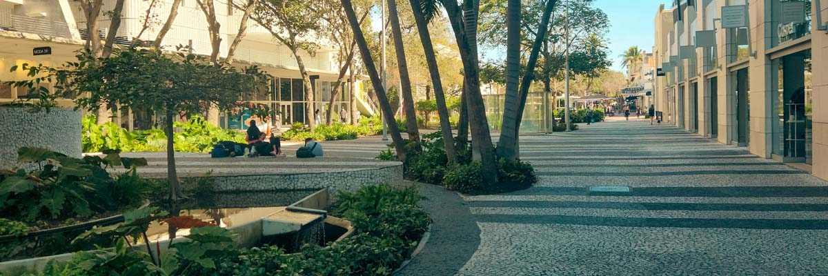 Jax Lawn Cleanup Services